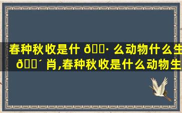 春种秋收是什 🌷 么动物什么生 🐴 肖,春种秋收是什么动物生肖打一精准做答